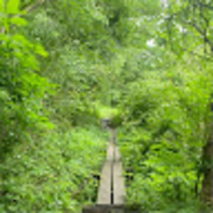 Meet your Posher, Ellen